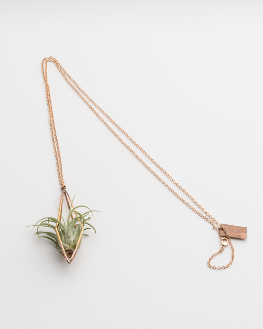 Rose Gold Cage Necklace with Air Plant