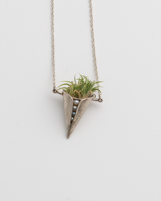 Sterling Silver Cone and Pearls with Air Plant