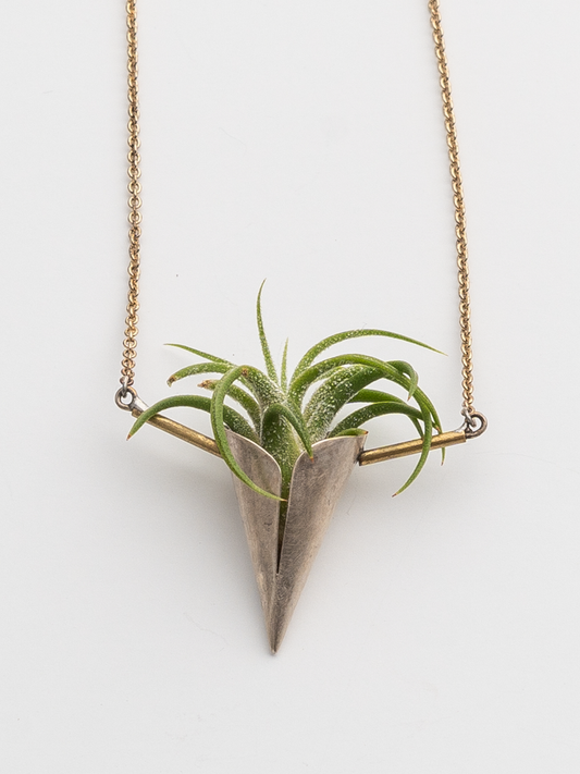 Sterling Silver Cone with Gold Chain and Air Plant