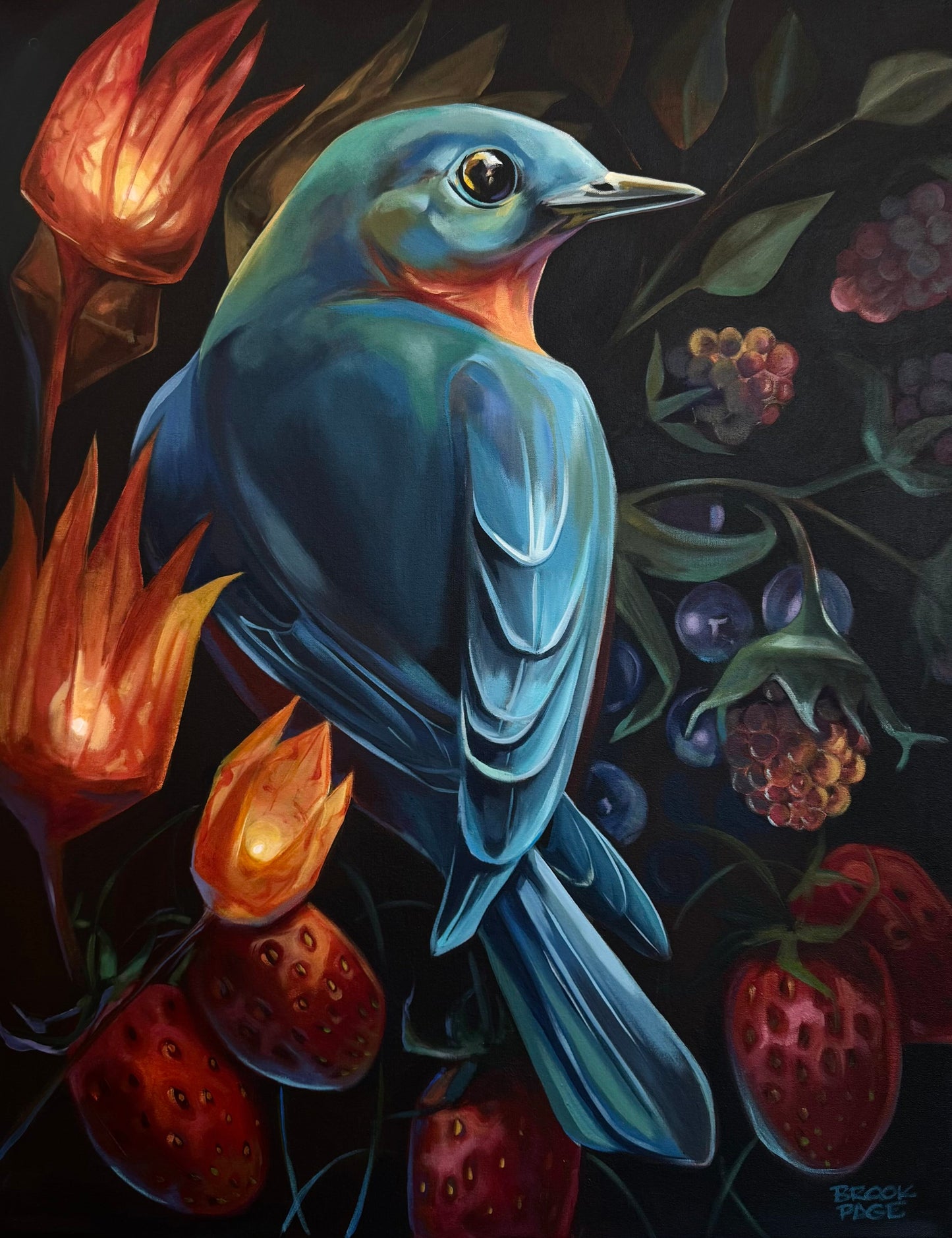 "Eastern Blue Bird", 34 x 44
