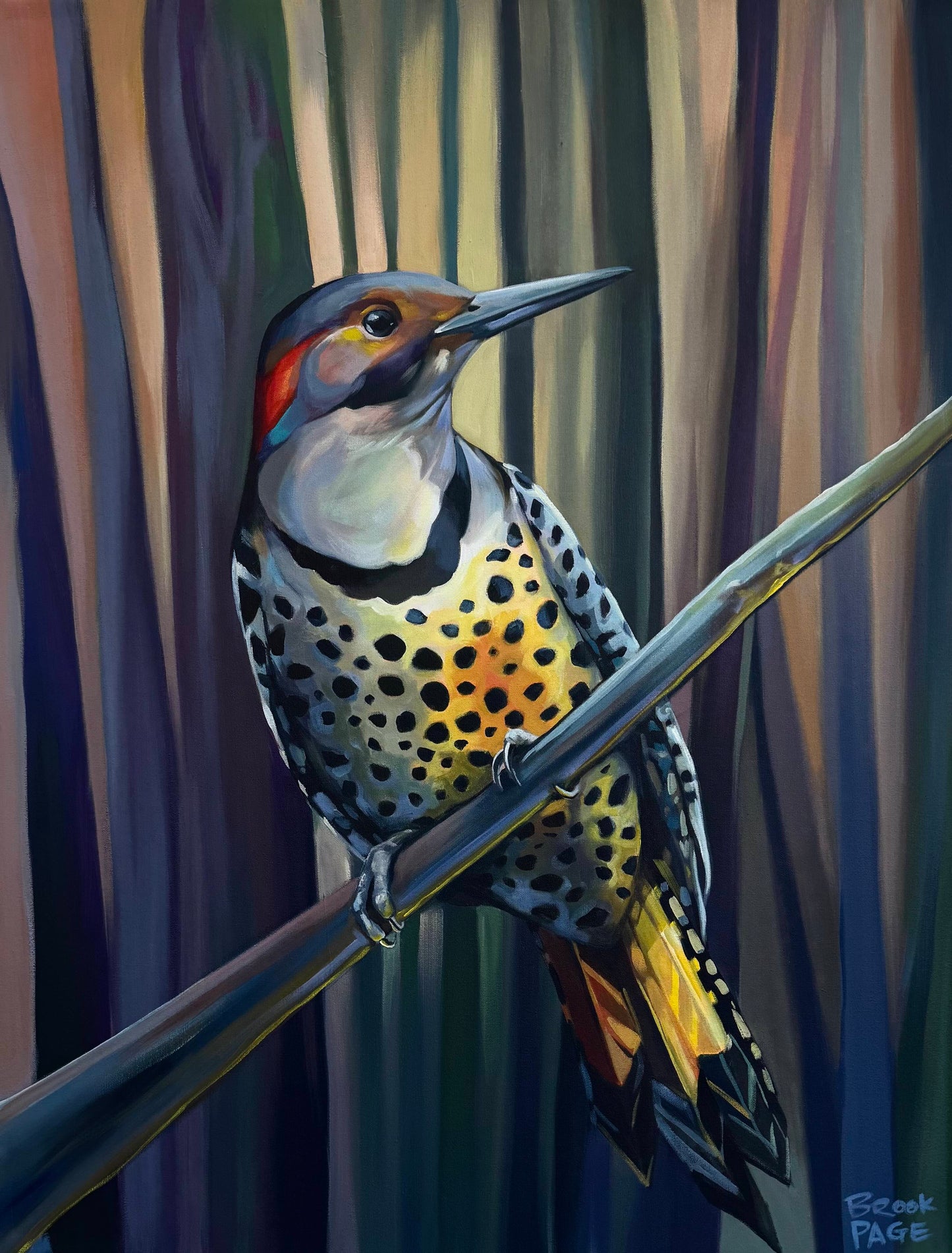 "Northern Flicker", 34 x 44