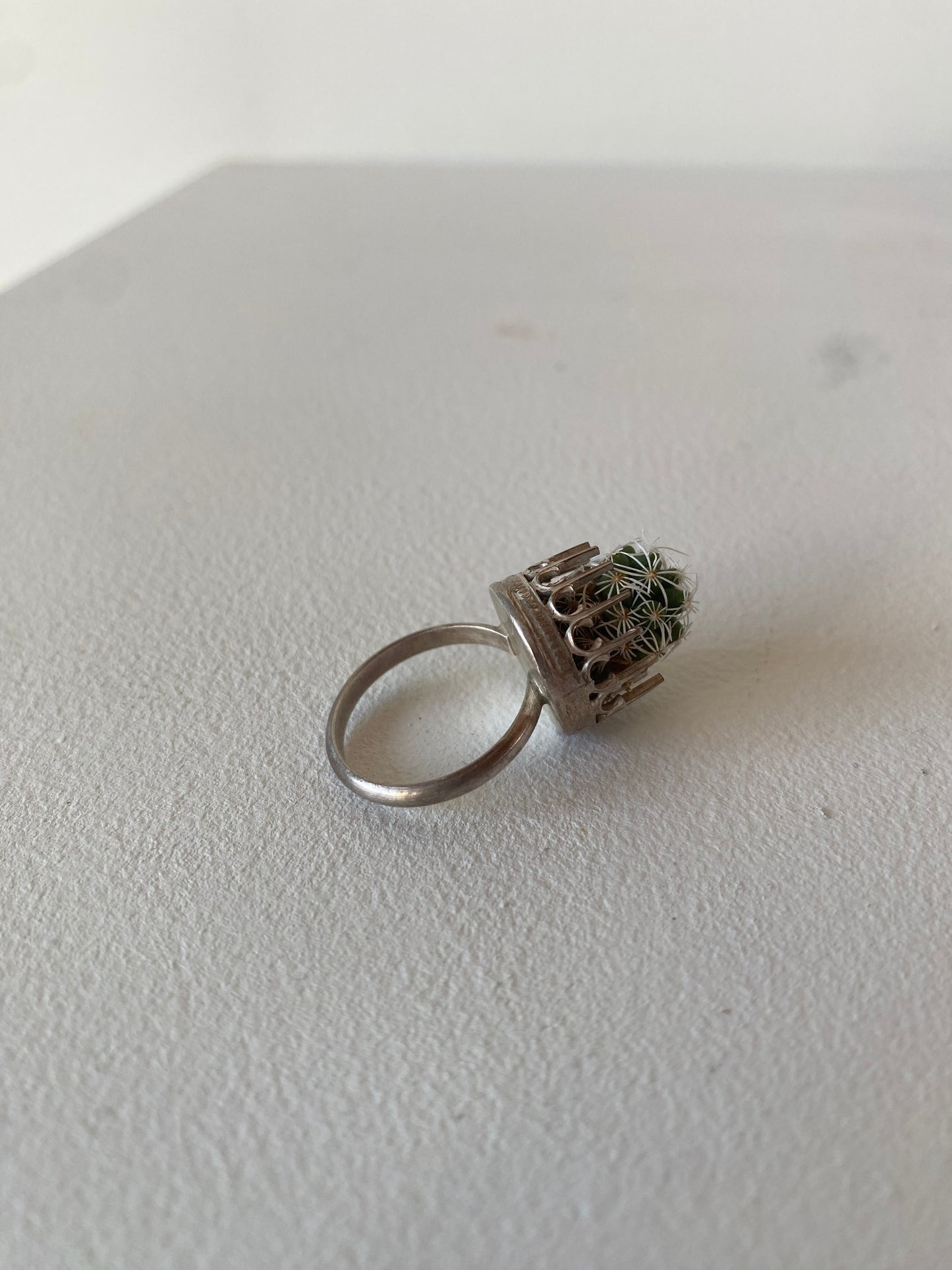 Cactus in Sterling Silver Ring