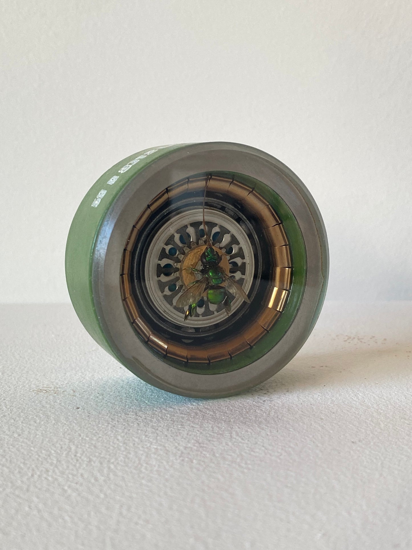 "Green Metallic Orchid Bee", 2.5" diameter.