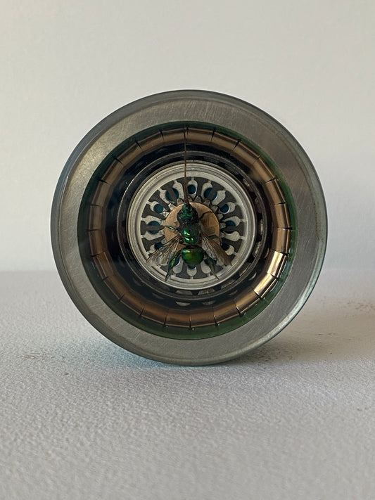 Green Metallic Orchid Bee, 2.5" diameter.