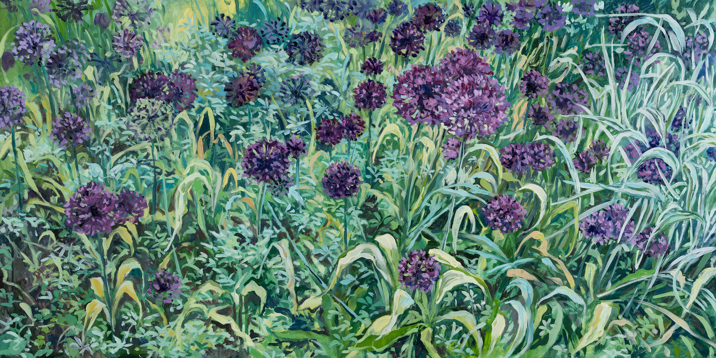 "Alliums at the Oxford Botanic Garden", 24 x 48