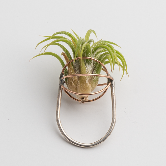 Sterling Silver and Rose Gold Open Wire Air Plant Ring