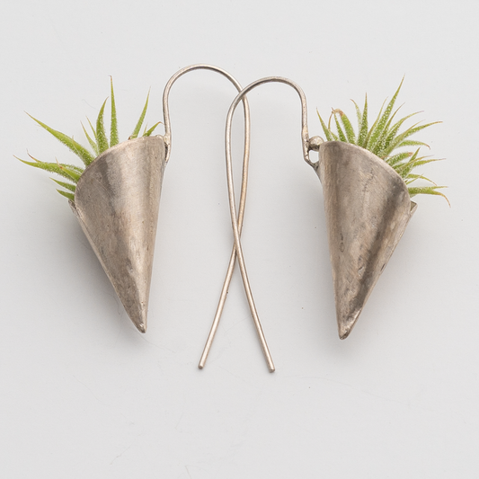 Sterling Silver Cone Earrings with Air Plants