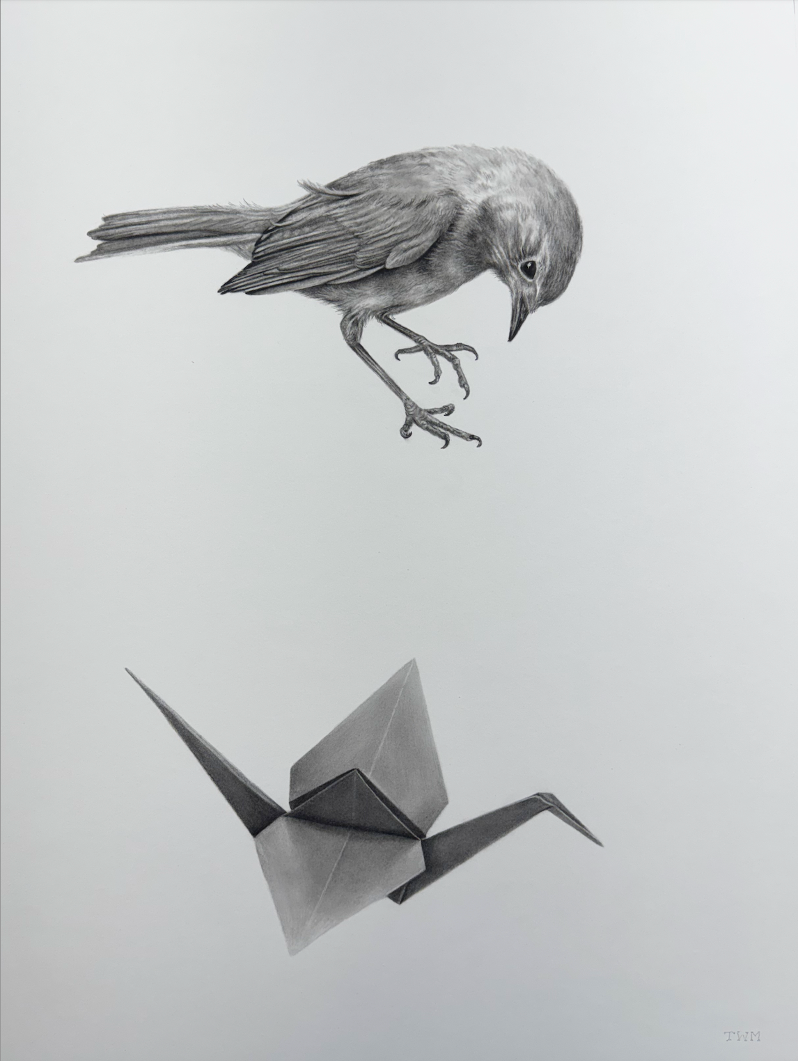 "See (No. 5)", 28"x 22" (framed)