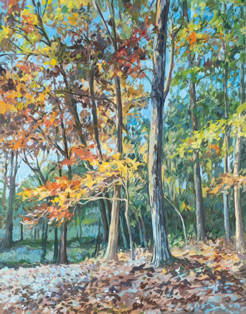 "Split Complementary" 28 x 22