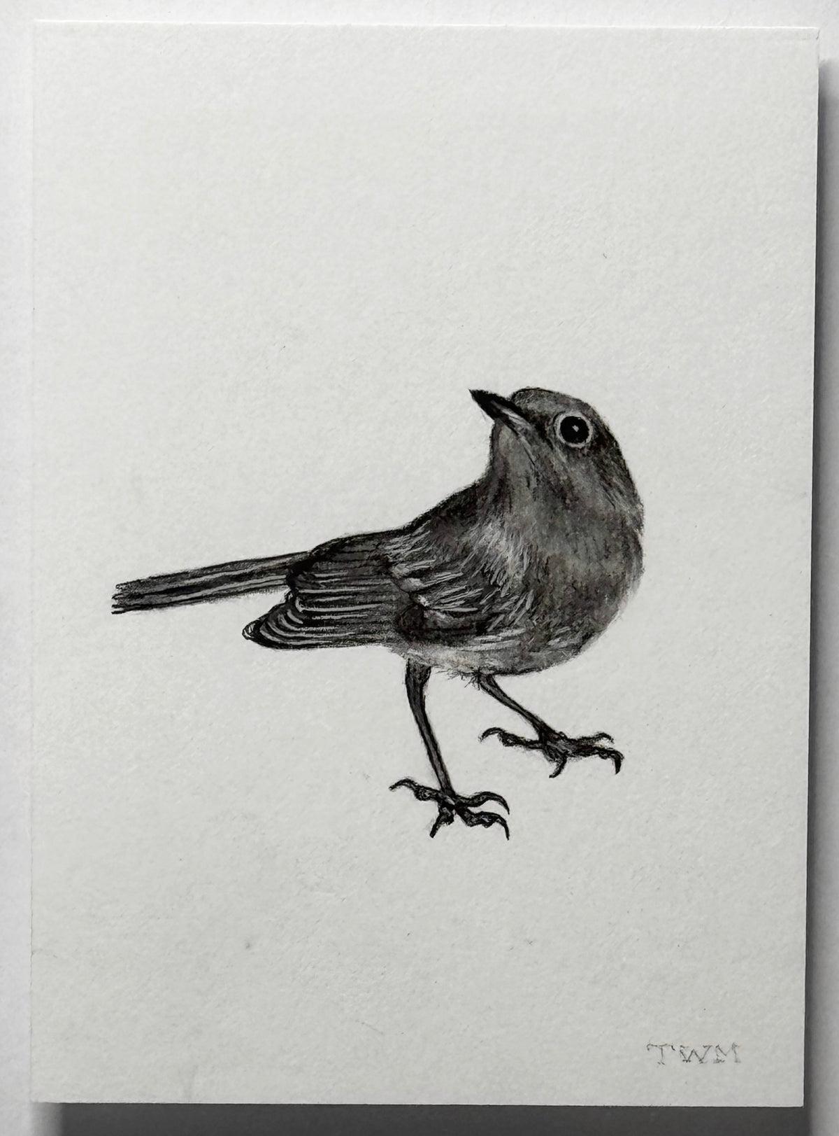Mini Bird, 8x10 Framed, 2.5x3.5 Art
