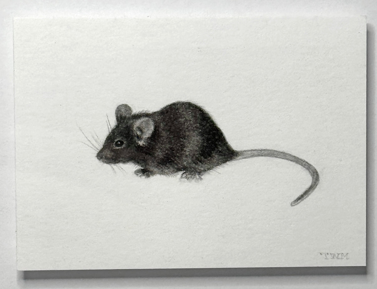 Mini Mouse, 8x10 Framed, 2.5x3.5 Art