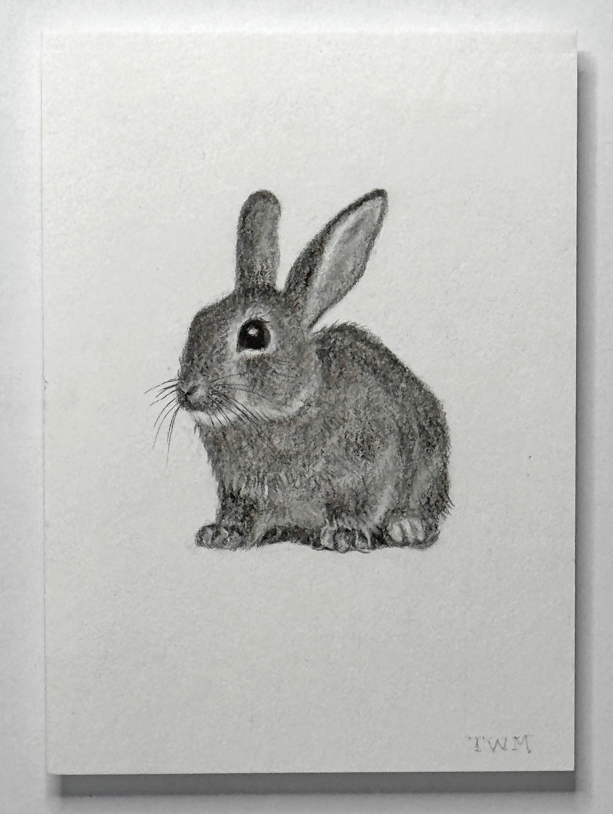 Mini Rabbit, 10x8 Framed, 3.5x2.3 Art