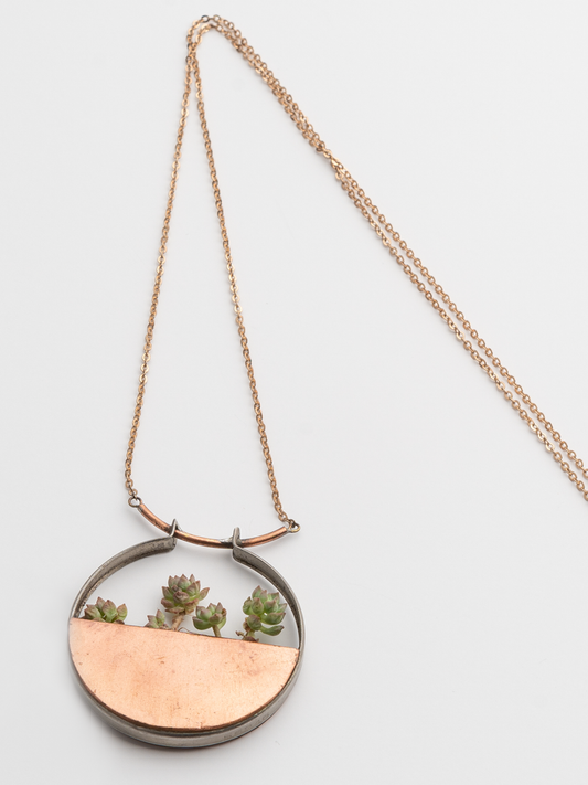 Copper Disc with Succulents