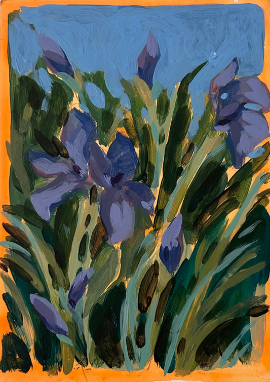 Fellows Garden Cambridge I, 7x5