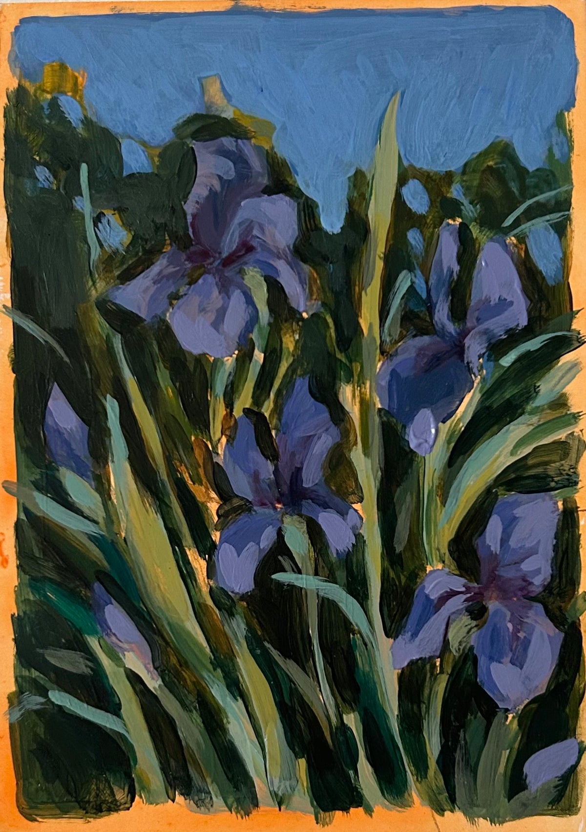 Fellows Garden Cambridge II, 7x5