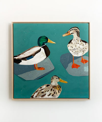"Pals swimming in the pond" 24 x 24