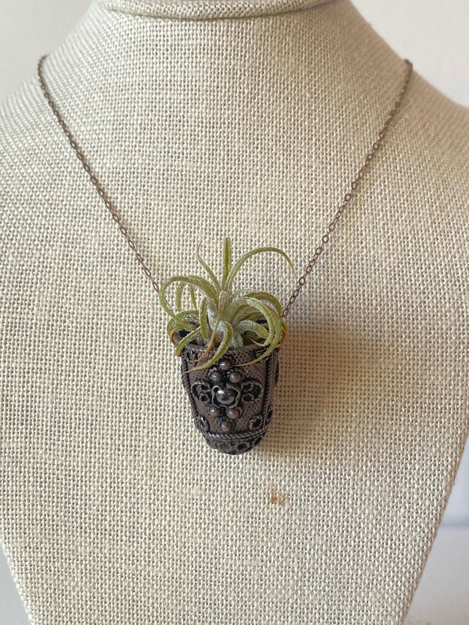 air plant jewelry Antique Thimble Air Plant $125 – Spoonbill Gallery