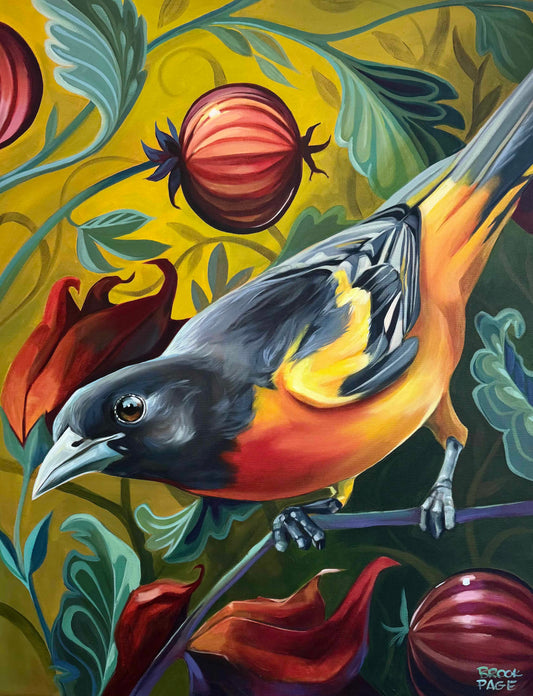 "Balitmore Oriole", 34 x 44