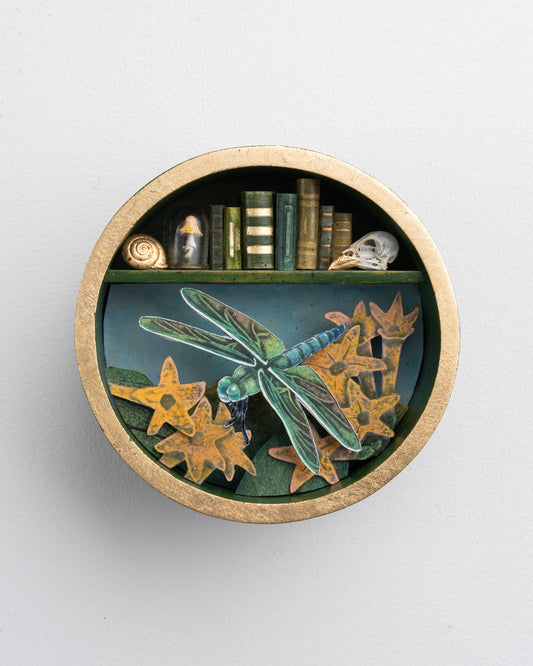 "Blue Dasher" 6 x 6 x 3