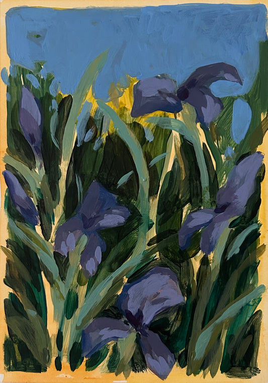 Fellows Garden Cambridge III, 7x5