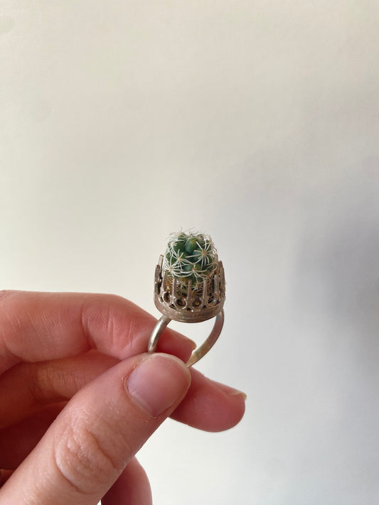 Cactus in Sterling Silver Ring