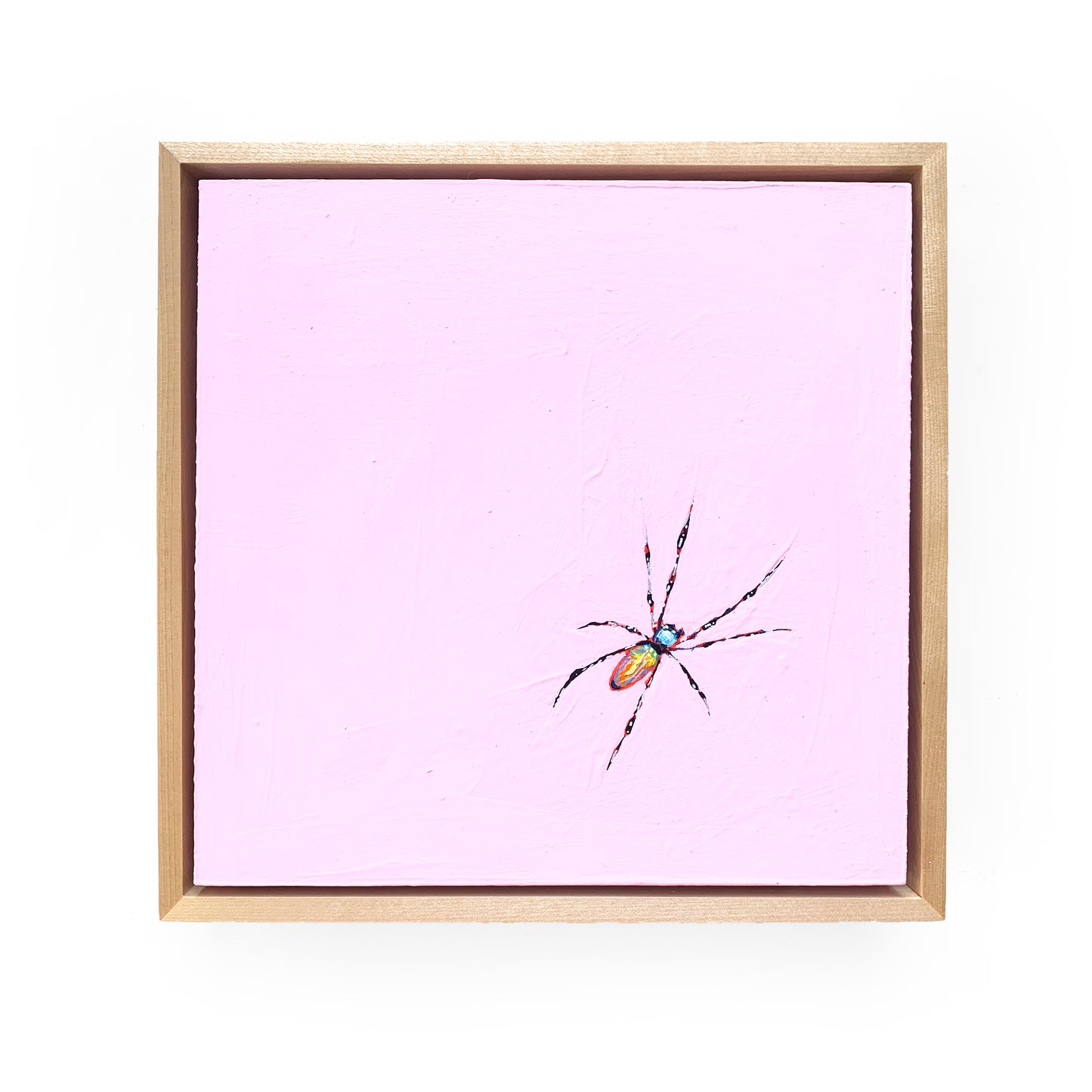 Banana Spider II 9 x 9 (Framed)