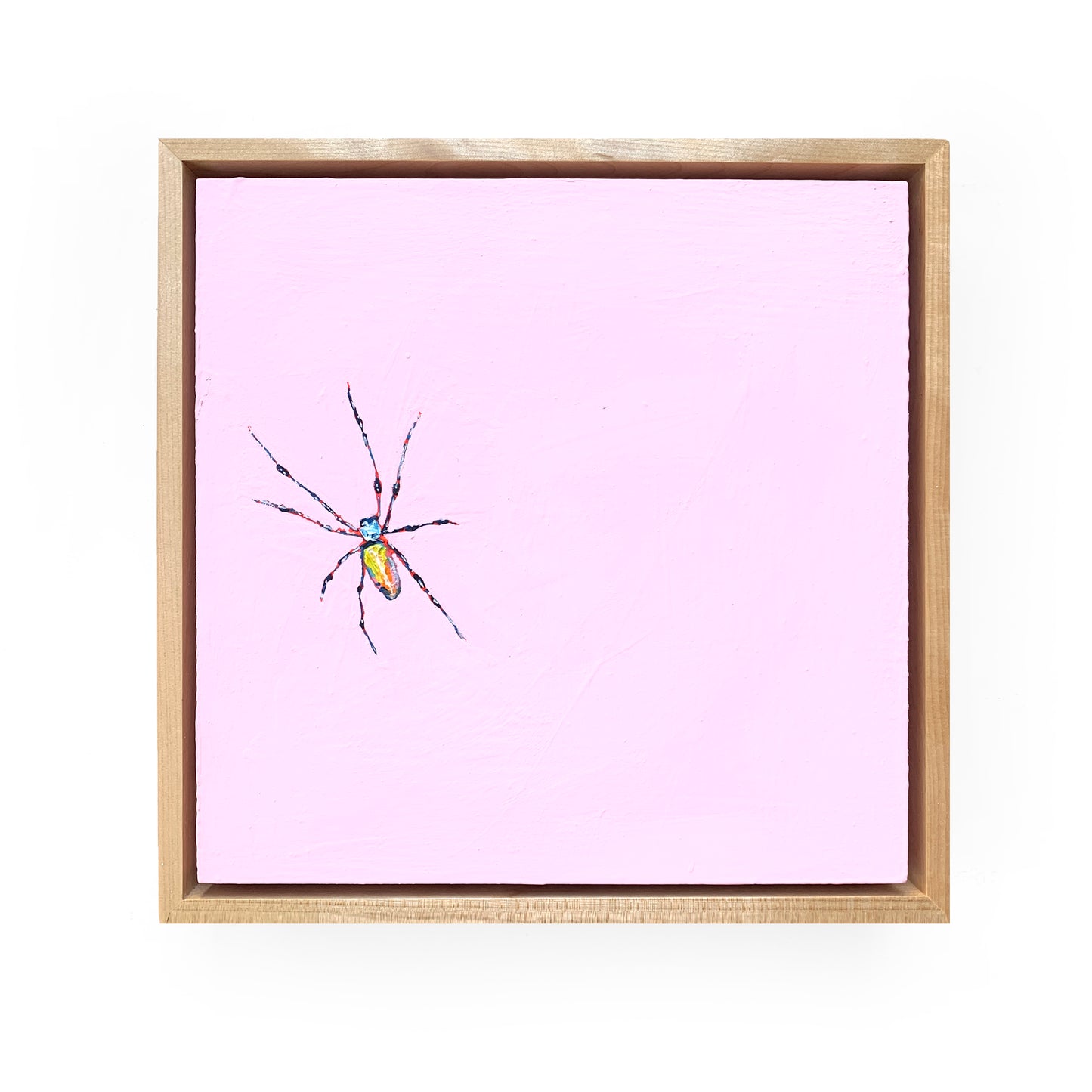 Banana Spider 9 x 9 (Framed)