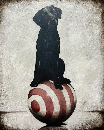 "Having a Ball 141" 20 x 16