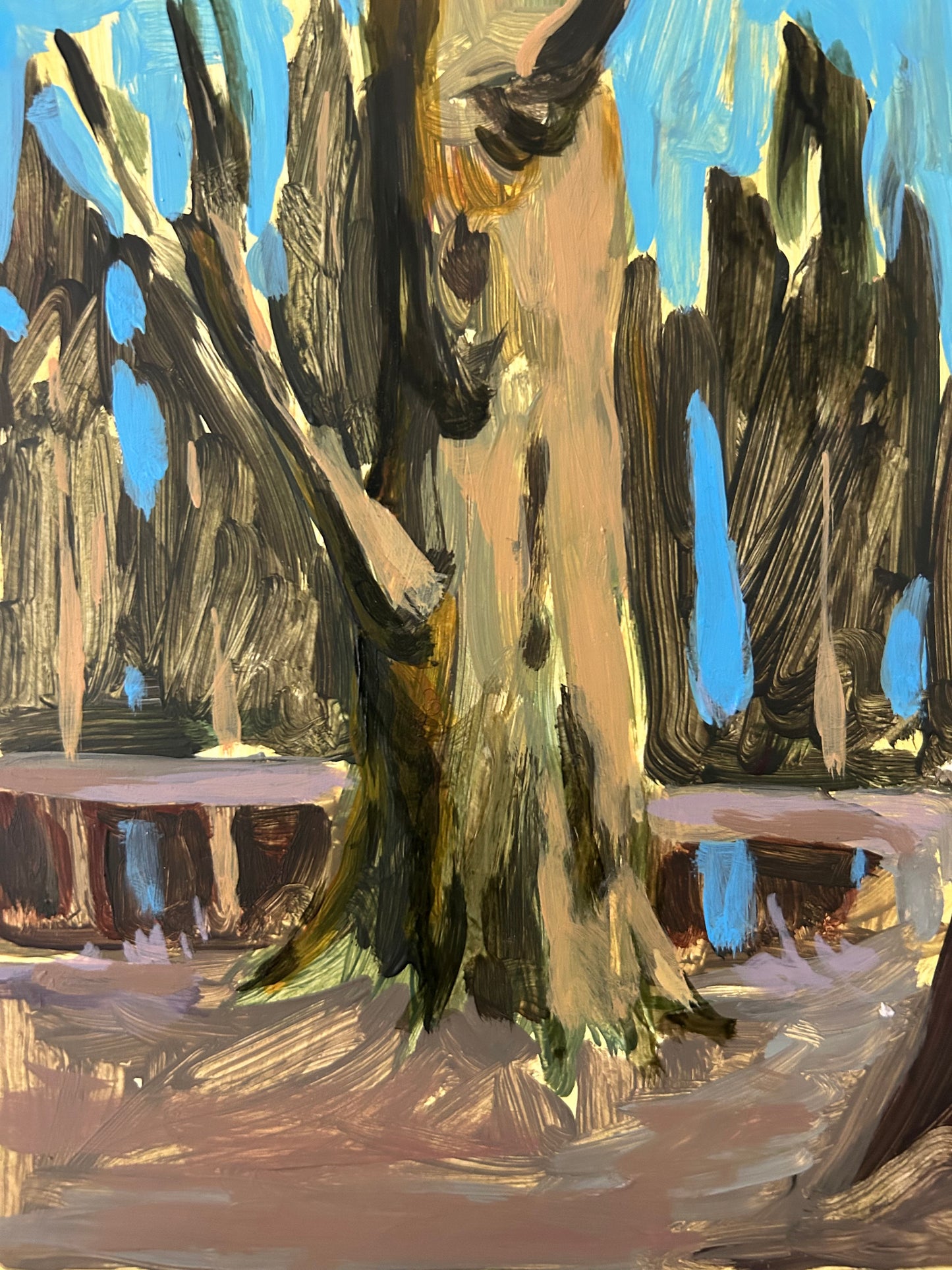 "Dutch Forest" 5x7