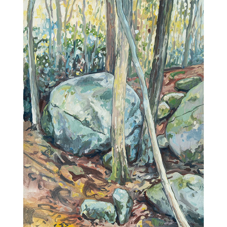 "Jones Gap State Park - Boulder I" 8 x 10