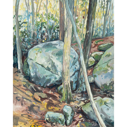 "Jones Gap State Park - Boulder I" 8 x 10