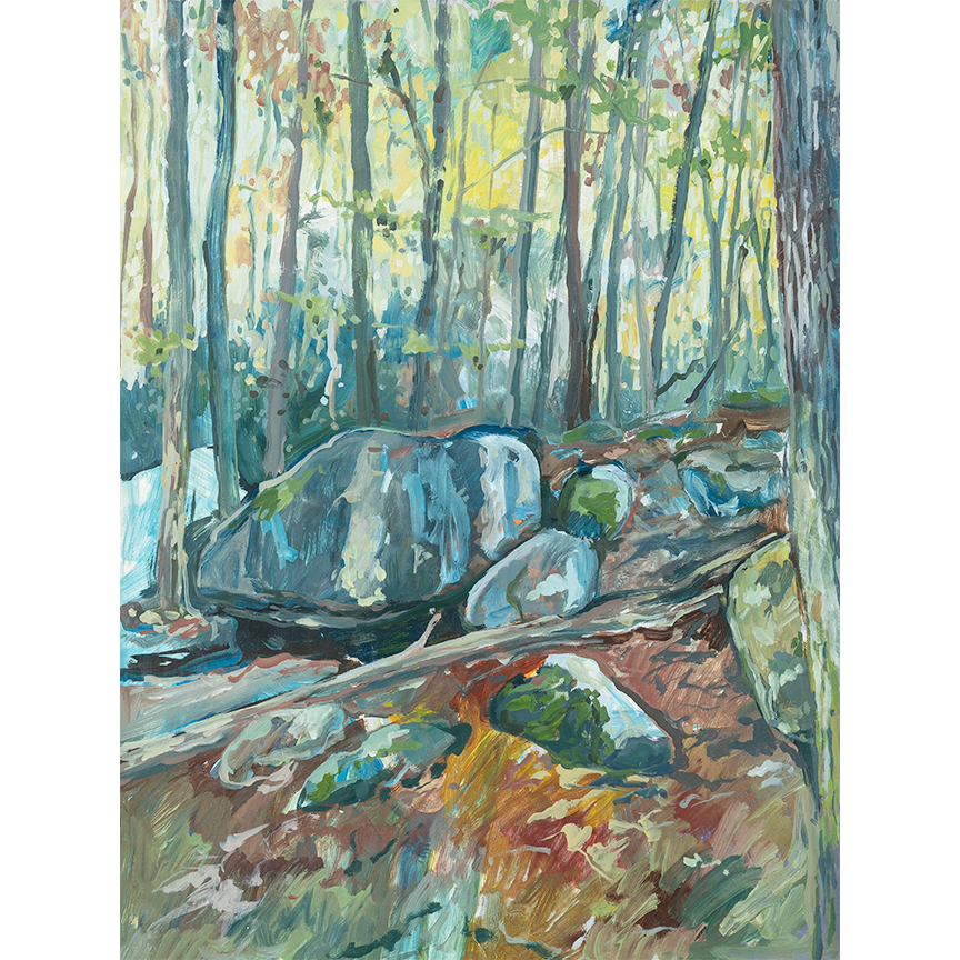 "Jones Gap State Park - Boulder II" 16 x 12