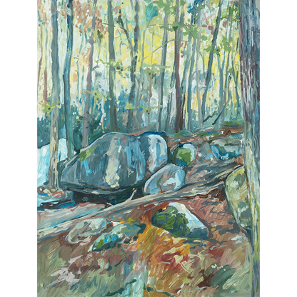 "Jones Gap State Park - Boulder II" 16 x 12