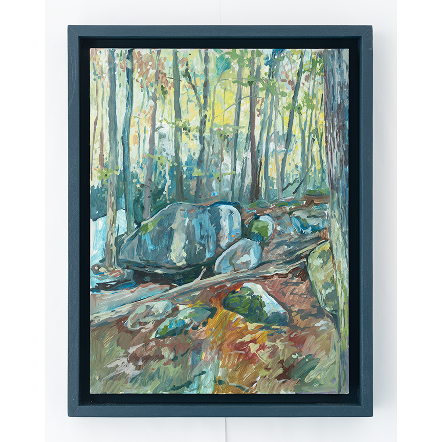 "Jones Gap State Park - Boulder II" 16 x 12