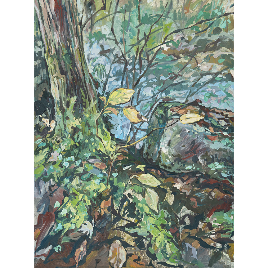 "Jones Gap State Park - Creekside" 12 x 9