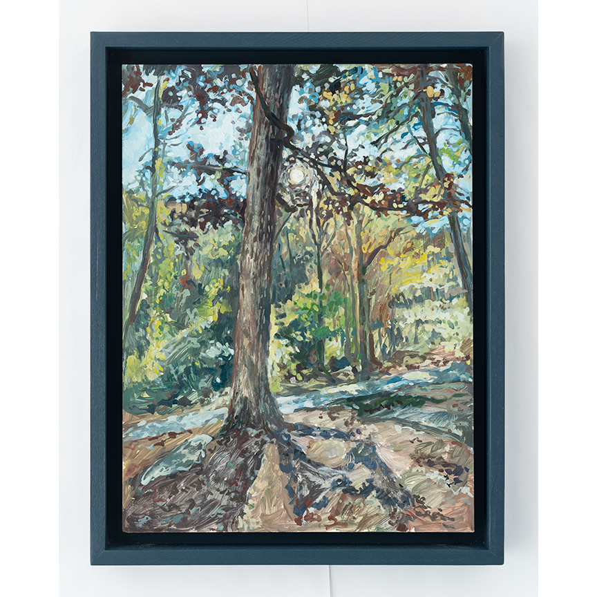 "Jones Gap State Park - Tracery" 16 x 12