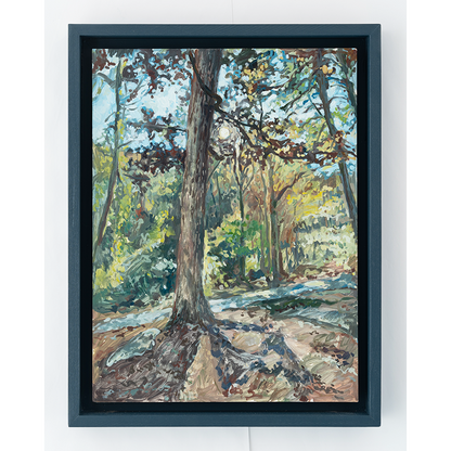 "Jones Gap State Park - Tracery" 16 x 12