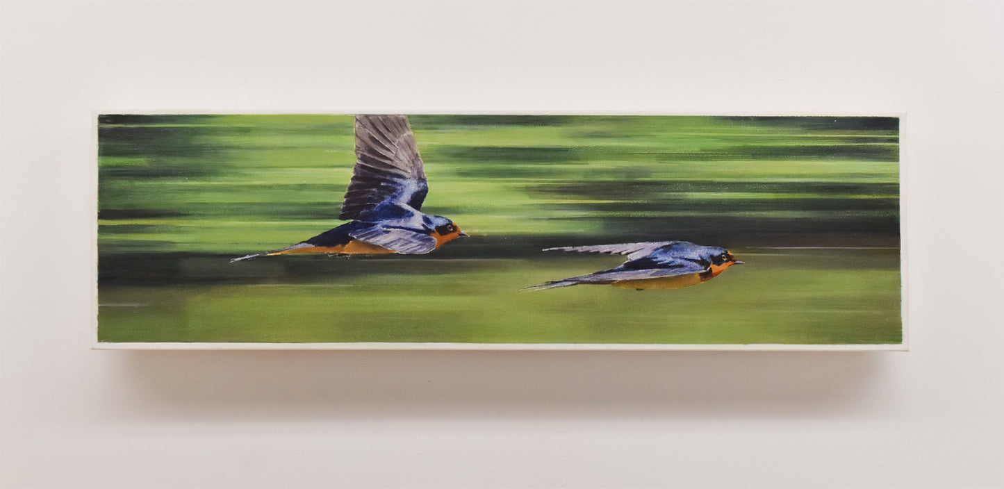 Speedsters- Barn Swallows, 7.5 x 26