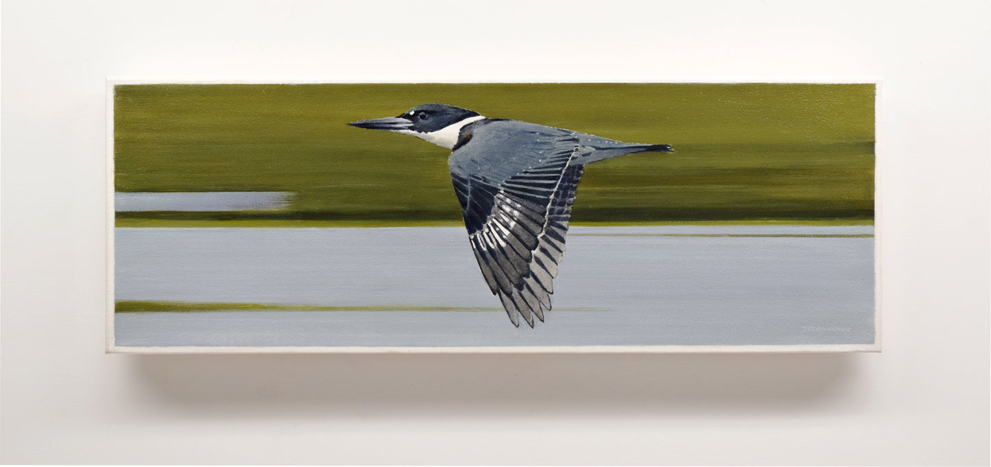 Triangle Elation - Belted Kingfisher, 10x28