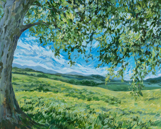 "Breath of Fresh Air", 20 x 30