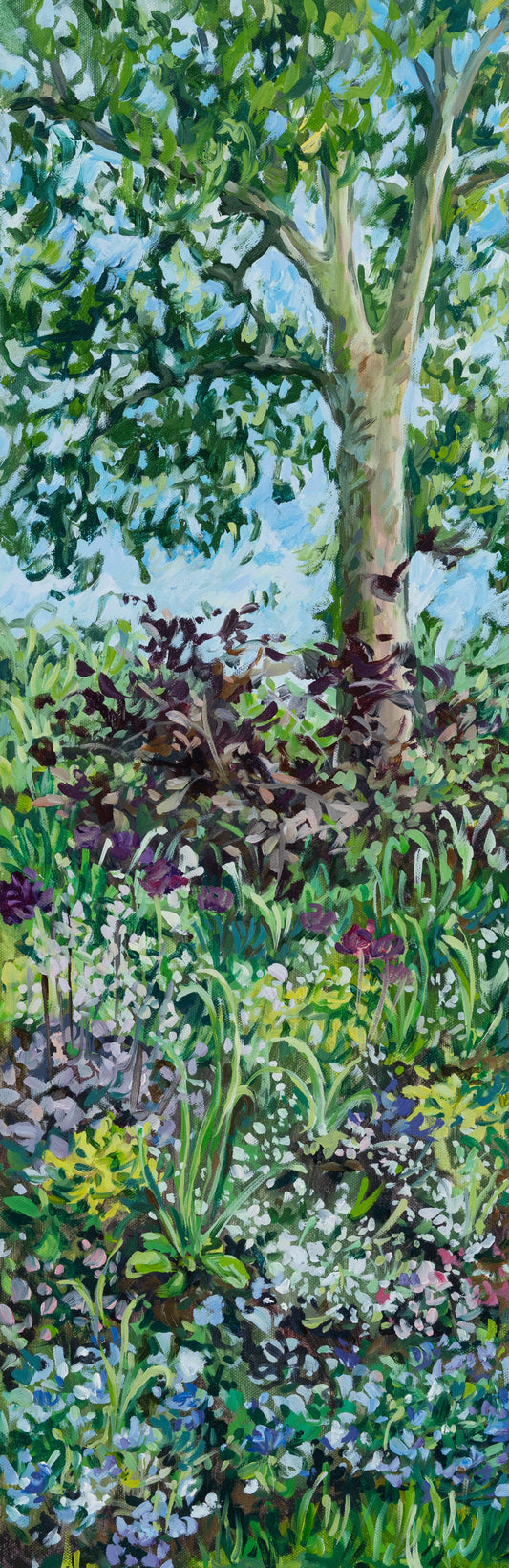 St. James's Flower Beds, 30x10