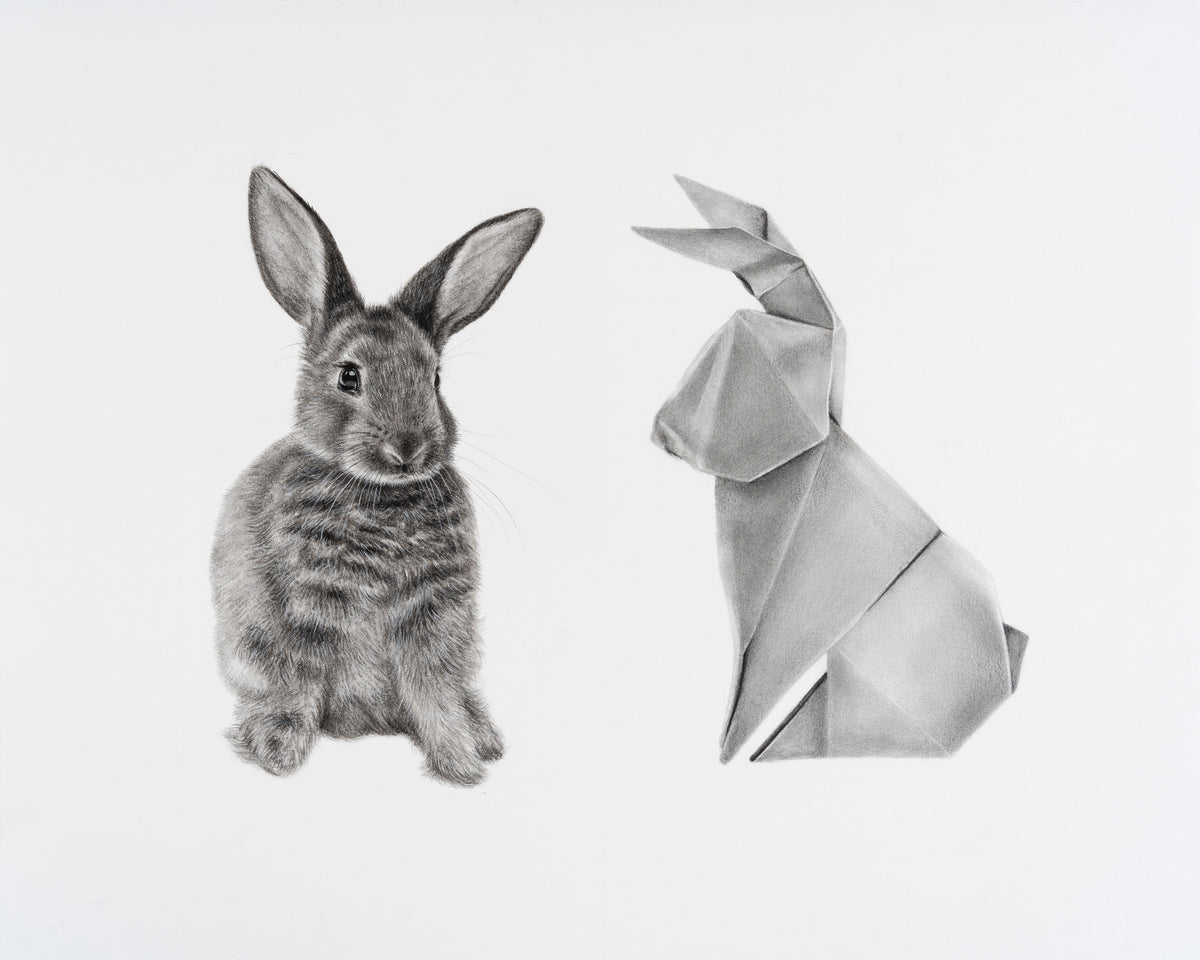 Rabbit, Rabbit, 16x20