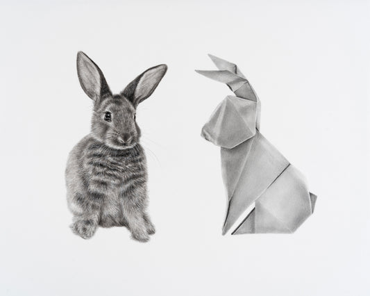 Rabbit, Rabbit, 16x20