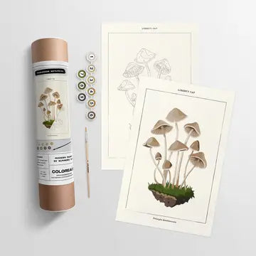 Mushroom Botanical | Modern Paint By Numbers Kit