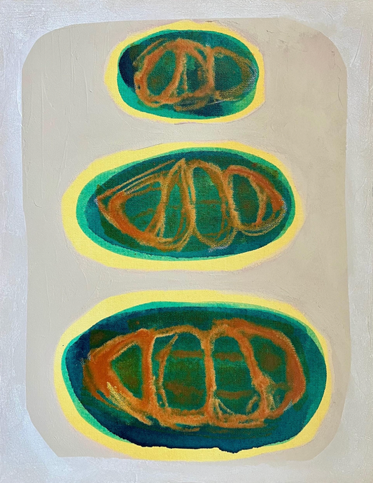 "Soft Stones" 14 x 18
