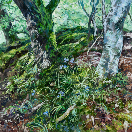 "Bluebells at Surprise View", 36 x 36