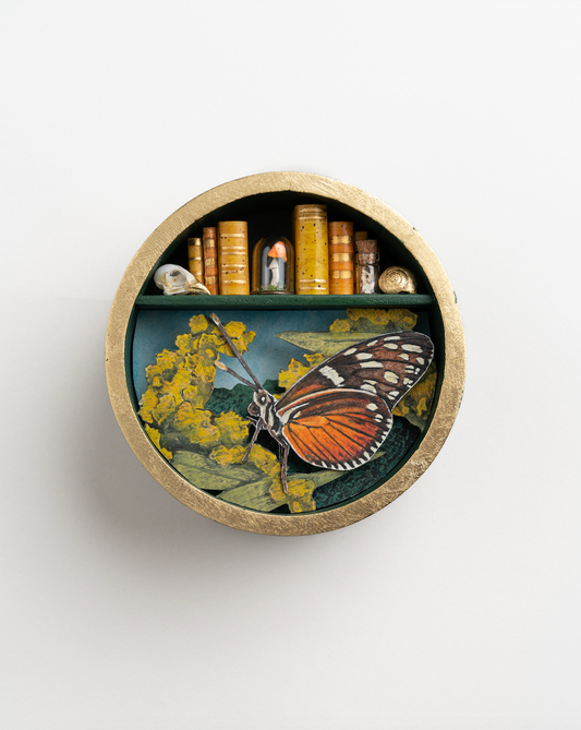 "Little Longwing" 6 x 6 x 3