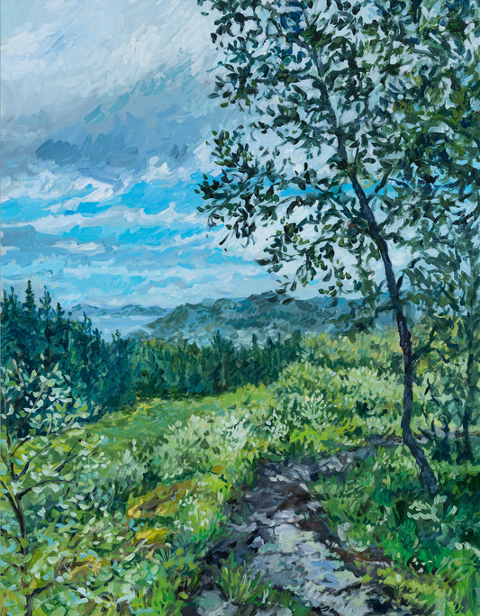 Osteroy Hike, Norway, 28x22