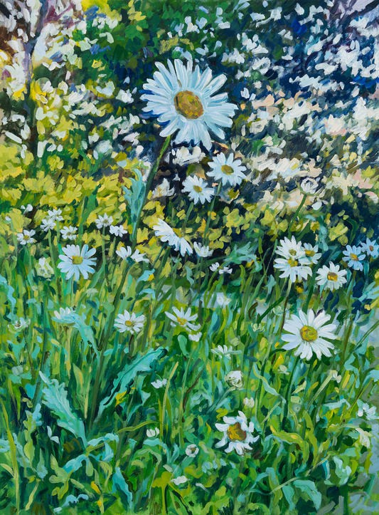 Golden Hour Daisies, 24x18