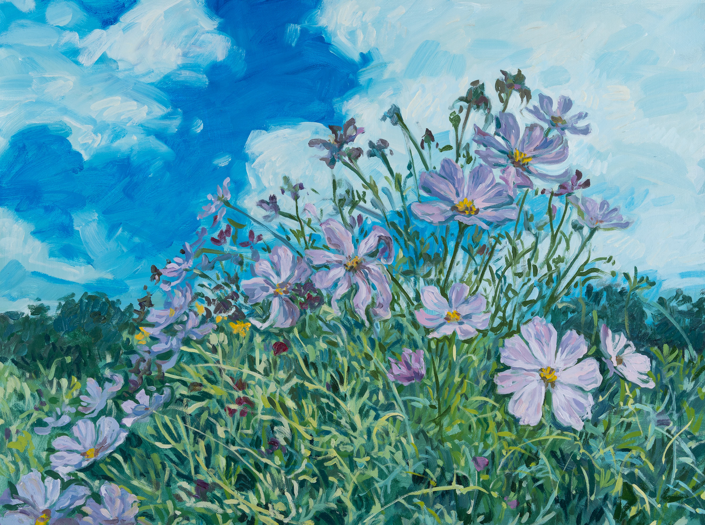 Cosmos at Jeter Mountain Farm, 18x24